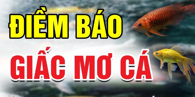 Nằm mơ thấy cá sấu ăn thịt người là điềm báo gì?