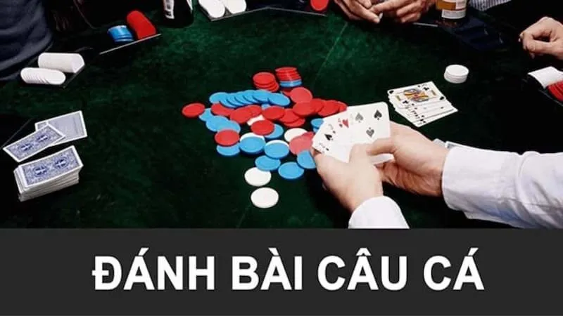 cách chơi bài câu cá