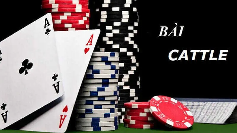 Hướng dẫn cách đánh bài Cát Tê